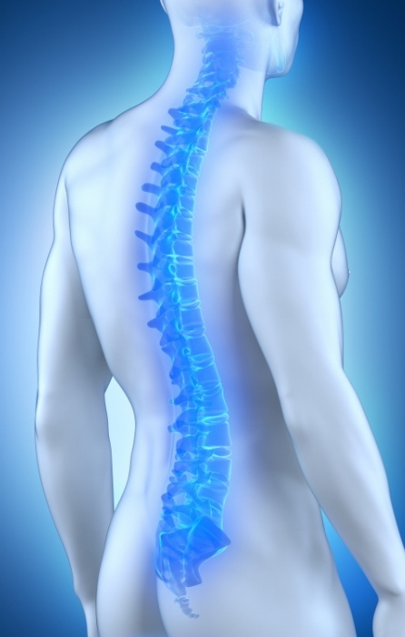 Minimally Invasive Spine
